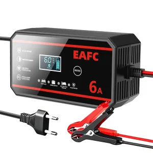 12V Car Battery Charger